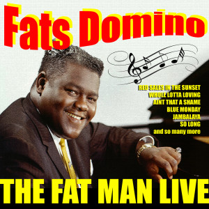 Listen to Whole Lotta Loving song with lyrics from Fats Domino