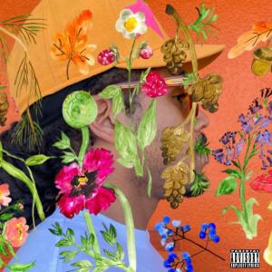 ดาวน์โหลดและฟังเพลง Larry Juneteenth (Explicit) พร้อมเนื้อเพลงจาก Soop Dread