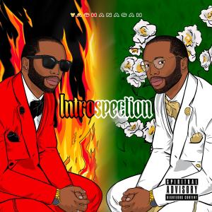 Yashanasah的專輯Introspection