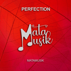 Album Perfection from Matamusik