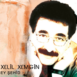 Listen to Leyle song with lyrics from Xelîl Xemgîn