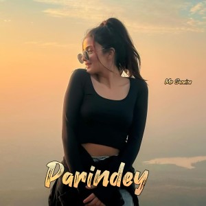 收听Mr Samim的Parindey (Lofi Flip|Explicit)歌词歌曲
