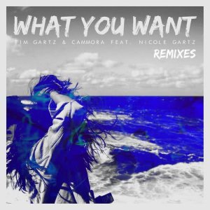 ดาวน์โหลดและฟังเพลง What You Want (feat. Nicole Gartz) (Sophill Remix) พร้อมเนื้อเพลงจาก Tim Gartz