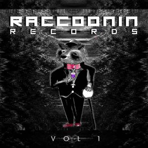 Various Artists的专辑Raccoonin Records Vol.1