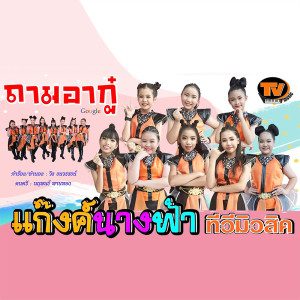 ดาวน์โหลดและฟังเพลง ถามอากู๋ พร้อมเนื้อเพลงจาก แก๊งค์นางฟ้าทีวีมิวสิค
