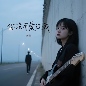 收听田园的你没有爱过我（DJ加速版） (伴奏)歌词歌曲