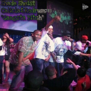 Listen to Gangsta Bitch (Explicit) song with lyrics from Shade Sheist