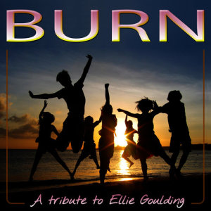 ดาวน์โหลดและฟังเพลง Burn พร้อมเนื้อเพลงจาก Dj Party Sessions