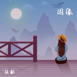 叢林的專輯因緣
