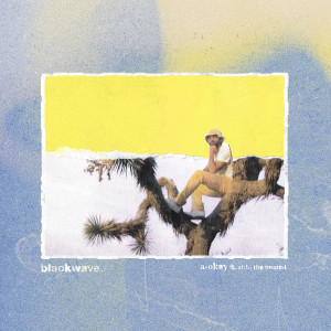 Album a-okay (Explicit) from blackwave.