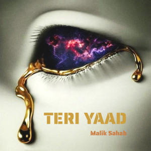 Listen to Teri Yaad song with lyrics from Malik Sahab