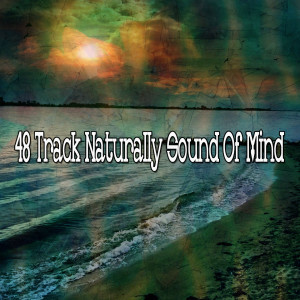 Dengarkan Galaxy Of The Mindful lagu dari White Noise Meditation dengan lirik