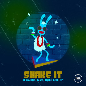 TP的专辑Shake it (Original Mix)