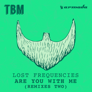 ดาวน์โหลดและฟังเพลง Are You With Me (Tom Budin Extended Remix) พร้อมเนื้อเพลงจาก Lost Frequencies