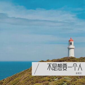 Album 不是想要一个人 from 