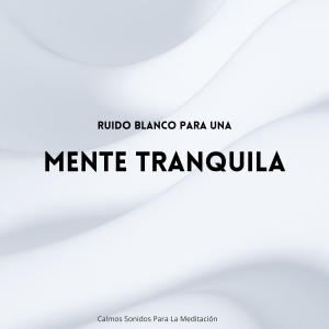 Album Ruido Blanco Para Una Mente Tranquila: Calmos Sonidos Para La Meditación oleh Meditaciones Espirituales