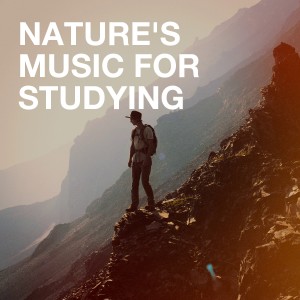 Listen to Fandango song with lyrics from Michael Lucarelli