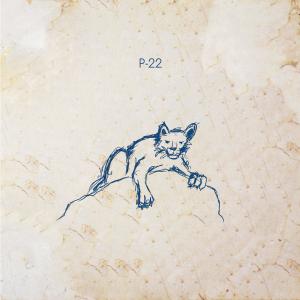 Album P-22 from 