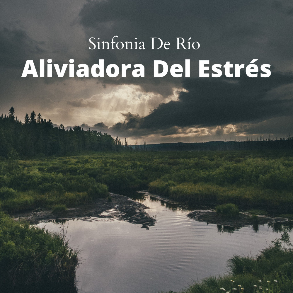 Un Estuario Rápido