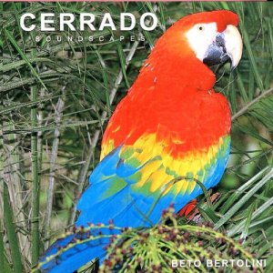 Beto Bertolini的專輯CERRADO   (Savanna)