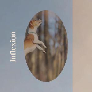 Album Inflexion from Various
